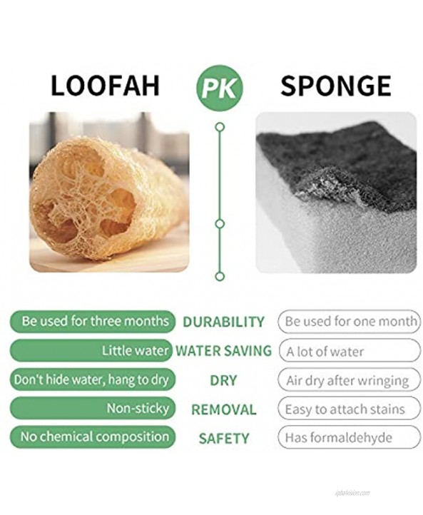 Azproduct Natural Loofah Kitchen Sponge Eco Friendly Scrub Luffa Sponge Large Diameter Biodegradable sponges for Cleaning &Dishwashing Kitchen3packs