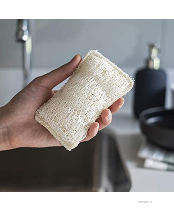 FAAY 6 packs Eco Friendly Sponges for Dishes Multi-Purpose Non-Scratch Loofah Scrubber for Cookware Kitchen Bathtub Handmade Unbleached Luffa Fiber Natural Biodegradable Compostable & No Smell