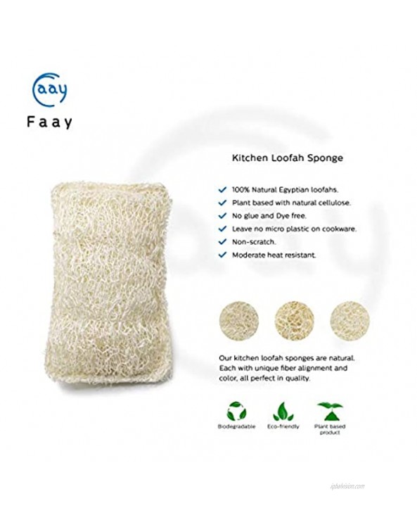 FAAY 6 packs Eco Friendly Sponges for Dishes Multi-Purpose Non-Scratch Loofah Scrubber for Cookware Kitchen Bathtub Handmade Unbleached Luffa Fiber Natural Biodegradable Compostable & No Smell