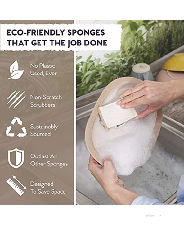 Natural Loofah Dish Sponge Set Earth Friendly Plant Based Sponges for Dishes are Super Durable & Great for Scrubbing Biodegradable Compostable Vegan Long Lasting Kitchen Sponge 5 Pack
