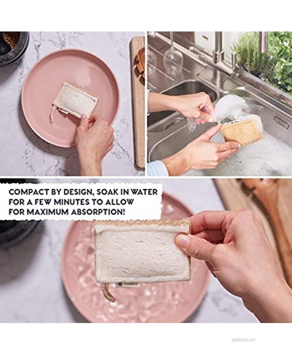 Natural Loofah Dish Sponge Set Earth Friendly Plant Based Sponges for Dishes are Super Durable & Great for Scrubbing Biodegradable Compostable Vegan Long Lasting Kitchen Sponge 5 Pack