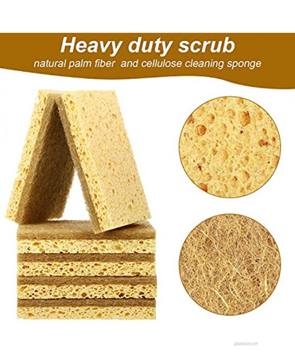 Natural Scrub Sponge Palm Fiber Dish Scrubbing Sponge with Non Scratch Cellulose Sponge Double Sided No Smell Kitchen Planted Based Dishwashing Cleaning Scrubber 8