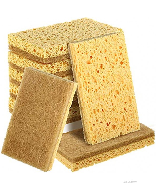 Natural Scrub Sponge Palm Fiber Dish Scrubbing Sponge with Non Scratch Cellulose Sponge Double Sided No Smell Kitchen Planted Based Dishwashing Cleaning Scrubber 8