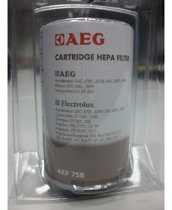 AEG 9001669119 AEF75B Central Filter for Minion Ergoeasy Vampyrette Accelerator