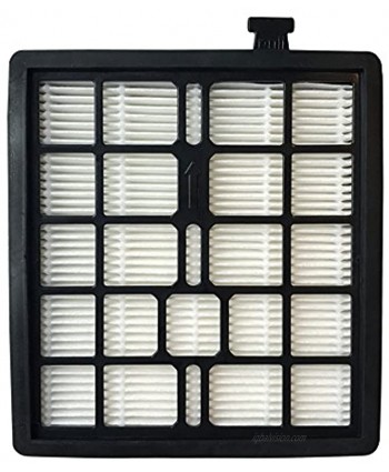 Crucial Vacuum Replacement Vacuum Filter Compatible with Dirt Devil Part # F45 Fits Models Pets Canister SD40000 EZ Lite Canister SD40010 Parts 2KQ0107000 2-KQ0107-000 F-45 Bulk 1 Pack