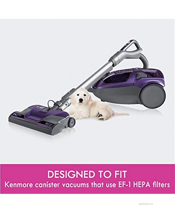 Kenmore 53295 EF-1 HEPA Media Vacuum Cleaner Exhaust Air Filter for Upright and Canister Vacuums,White
