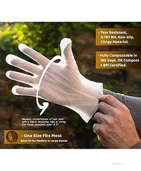 180 Day Compostable Food Prep Disposable Gloves 200 pcs Box Restaurant Grade Safe for Cooking Handling & Serving Latex & Powder Free Universal Fit for Medium & Large Hands