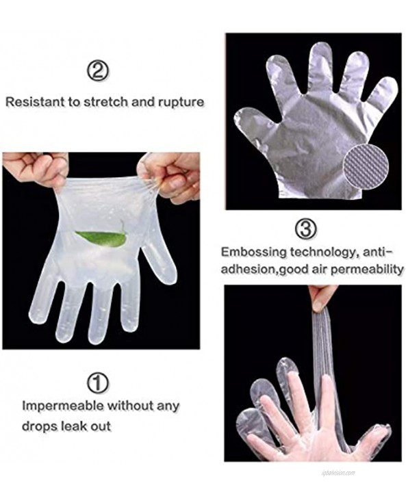 500pcs Disposable Plastic Gloves Latex Free Powder Free Clear Polyethylene Hand Gloves Non-Sterile for Cleaning Cooking Hair Coloring Dishwashing Food Handling Large 500 Count Pack of 1