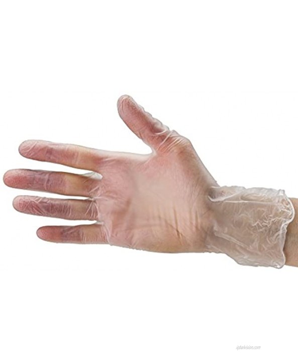 Disposable Vinyl Gloves Small Non Latex Powder Free 100 Count Clear
