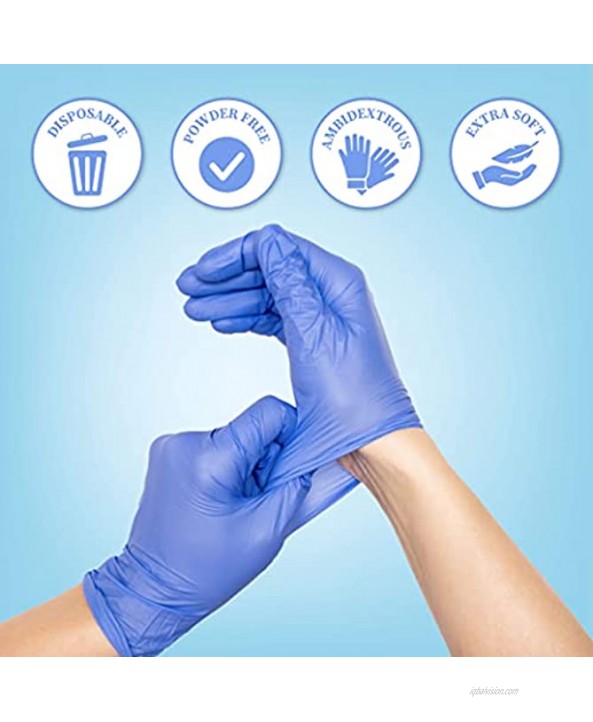 Great Glove Nitrile Gloves 10 Boxes 1,000 Count Latex and Powder Free