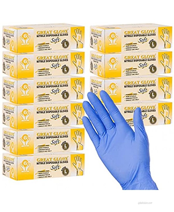 Great Glove Nitrile Gloves 10 Boxes 1,000 Count Latex and Powder Free