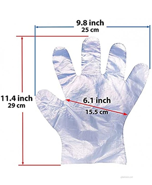 ProtectX 500-Pack Clear PE Disposable Gloves Food Handling Transparent High Density Polyethylene One Size Fits All
