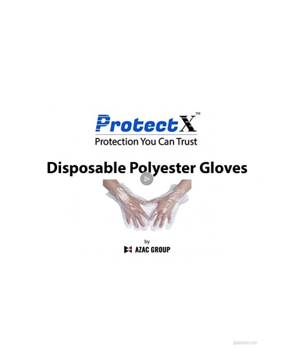 ProtectX 500-Pack Clear PE Disposable Gloves Food Handling Transparent High Density Polyethylene One Size Fits All