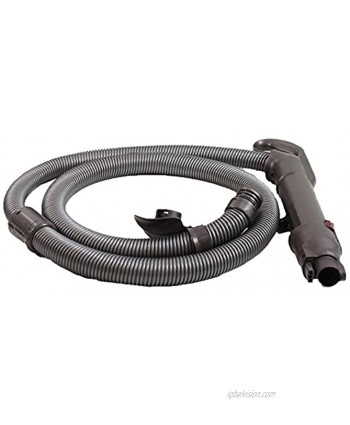 Dyson Hose with Telescopic Wand Dc21